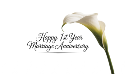 Happy 1st year Marriage anniversary  