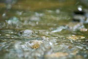 Abstract Nature of Water and Leaves Macro Texture
