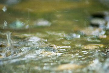 Abstract Nature of Water and Leaves Macro Texture