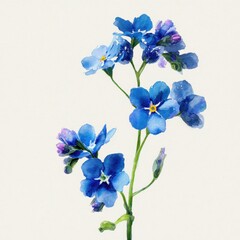 Fototapeta premium Watercolor Forget Me Not Flowers. Blue Flower Blossoms in Nature