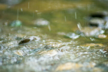 Abstract Nature of Water and Leaves Macro Texture