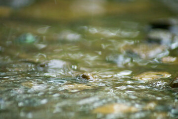Abstract Nature of Water and Leaves Macro Texture