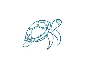 Simple line drawing of a sea turtle, profile view, teal outline