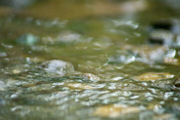 Abstract Nature of Water and Leaves Macro Texture