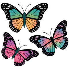 set of colorful butterflies