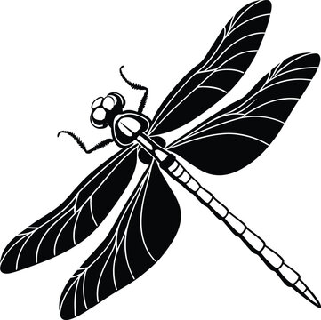 recommend clip art: Flat top view dragonfly insect silhouette vector design