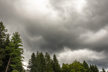 Schwarzwald Landschaft mit Nebel, Regen, Wolken und Sonne