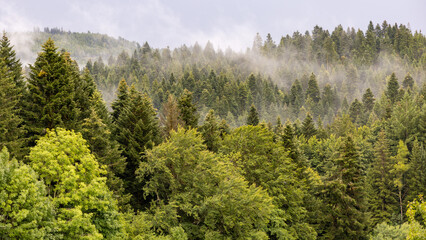 Schwarzwald Landschaft mit Nebel, Regen, Wolken und Sonne
