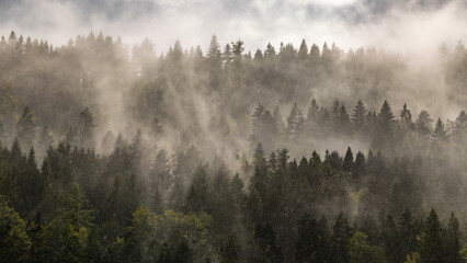 Schwarzwald Landschaft mit Nebel, Regen, Wolken und Sonne