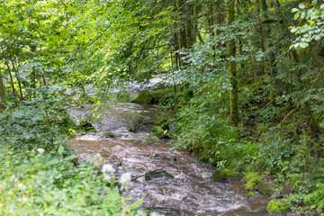 Schwarzwald Landschaft mit Nebel, Regen, Wolken und Sonne