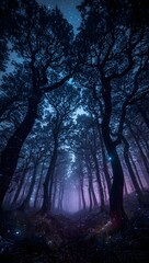 Mysterious night in the woods