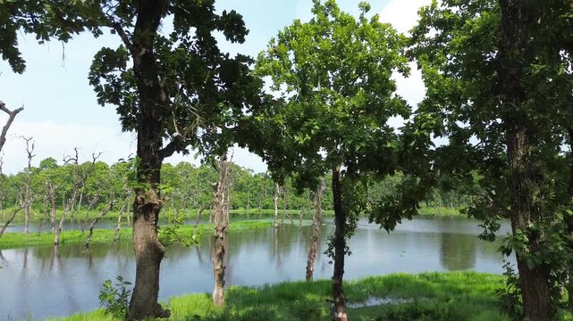 Aerial Drone View of Batuli Pokhari a Hidden Gem of Chitwan