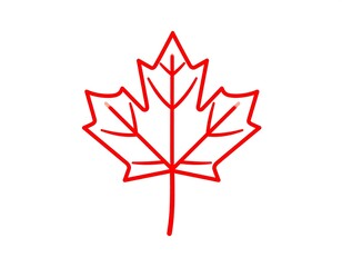 Simple red line drawing of a maple leaf on white background