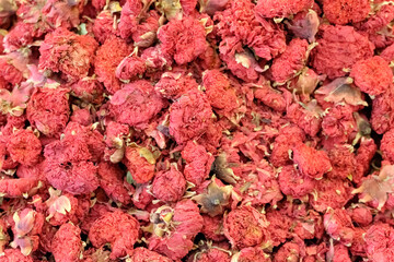Bunch of red flowers are scattered on the ground