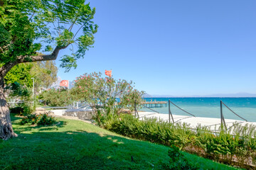 Beach with a fence and a tree