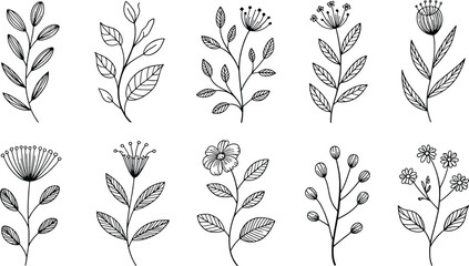 Collection of delicate hand-drawn botanical floral elements and leaves for artistic design projects