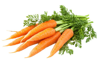 Bunch of carrots with leaves on white background,png