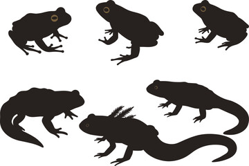 Silhouette of various amphibians including frogs and salamanders, dark animal shapes isolated on white background, wildlife nature illustration