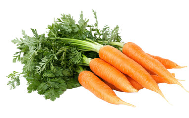 Bunch of carrots with leaves on white background,png