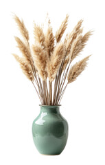 PNG Fluffy pampas grass vase natural green.