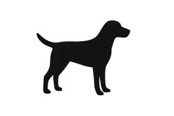 black dog silhouette