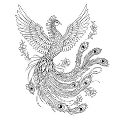 Ornate mythical phoenix bird with spread wings and a long peacock tail in a detailed line art illustration.