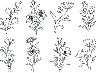 Set of Hand Drawn Botanical Flower Line Art – Minimalist Black and White Floral Clipart Collection