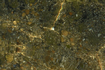 Macro of small pebbles in clear sea water, sunlight reflections on water, calm, serene, nature, shallow sea, tranquil, summer, peaceful.