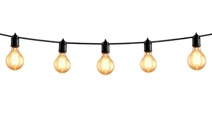 String of Warm Lights: A visually striking string of warm, incandescent light bulbs hangs gracefully, providing a gentle illumination and adding a touch of vintage charm to any setting.