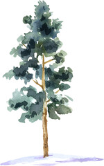 Watercolor Painting christmas tree with snow