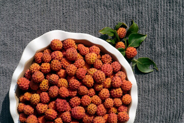 NC Kousa Berry Pie H10 2025