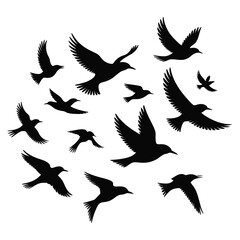 Obraz premium Flock Of Birds In Flight flying silhouette