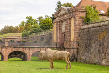 Neuf-Brisach im Elsass bei Colmar und Breisach, Frankreich