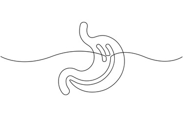 Fototapeta premium Single line drawing stomach icon .