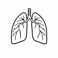 Simple Outline Drawing of Human Lungs with Bronchial Tubes on White Background respiratory system breathing