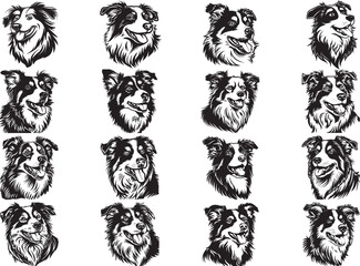 Obraz premium Australian Shepherd Dog Silhouette