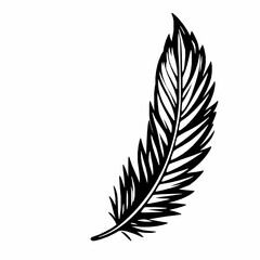 Obraz premium Black and White Sketch of a Curved Feather with Detailed Barbs quill bird