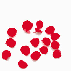 Scattered Red Rose Petals on a White Background isolated