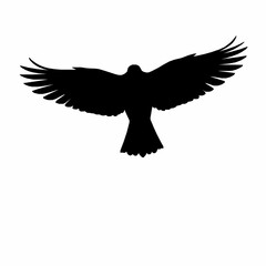 Obraz premium Silhouette Of A Bird With Wings Spread Wide In Flight flying