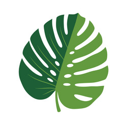 A detailed illustration of a split green tropical leaf with intricate patterns and textures.