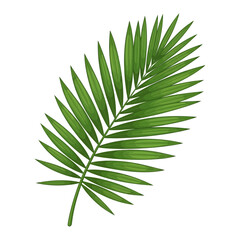 Close-up of a vibrant green palm leaf, showcasing its intricate structure and detailed veins.