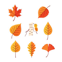 Fototapeta premium Collection of autumn leaves: maple, birch, oak, and ginkgo leaves in yellow, orange, and red colors.