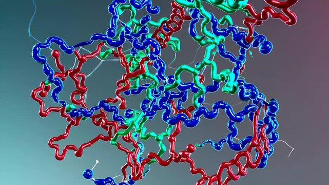 Molecular Organization of Protein Structure in Seamlessly Loopable Format