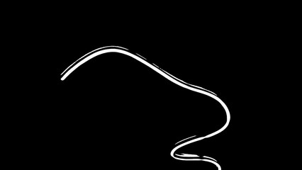 vector illustration of a black and white icon