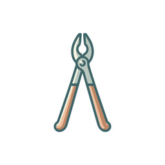 Close-up view of a pair of pliers with a clean design, ideal for DIY projects and repairs