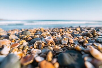 Obraz premium Colorful pebbles scattered along sandy beach under clear blue sk