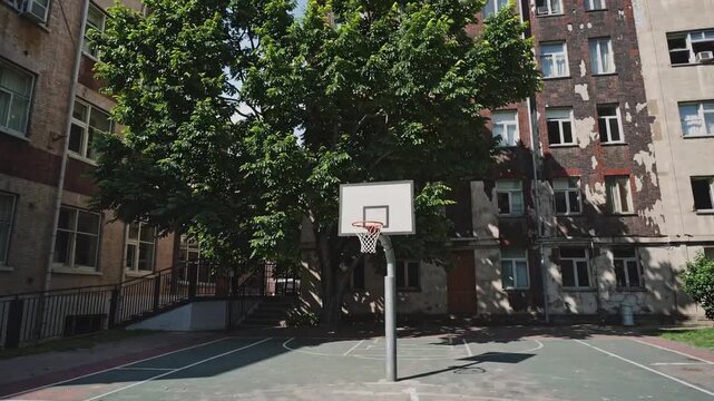 roundball goal apparatus is positioned in front of multi-unit residential structure, with woody plants in the closer view