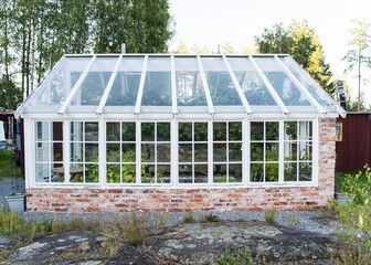 Obraz premium detail of a greenhouse and vines