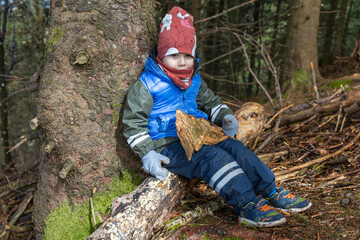 Kleiner Junge spielt frei im Wald