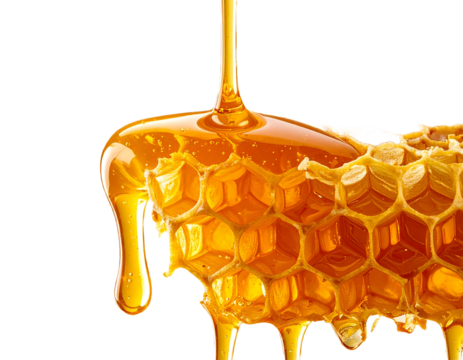 Golden Honey Pouring and Dripping over Fresh Honeycomb Isolated on Black Background